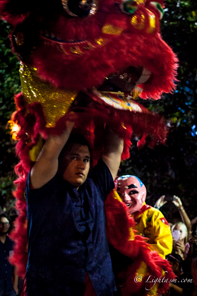 Lion Dancer