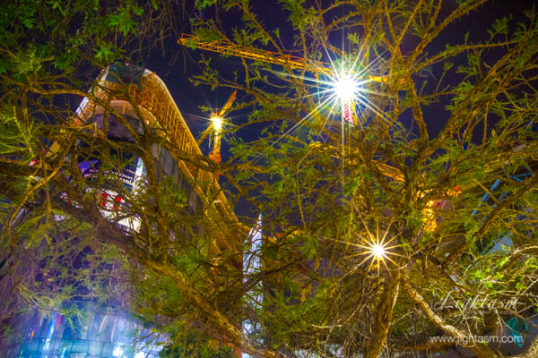 Construction lights through trees