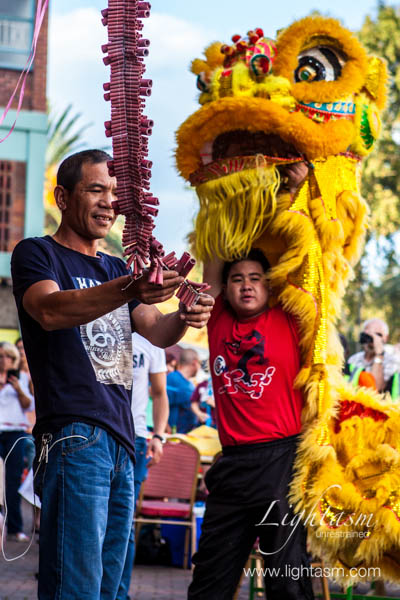 Lion Dancer Watching Fireworks