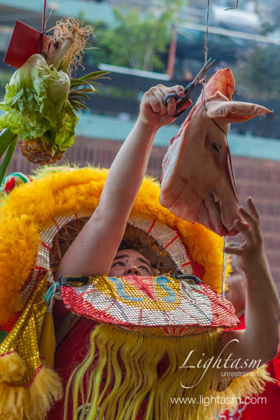 Lion Dancer Grabbing Pigs head