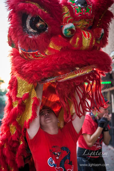 Lion Dancer