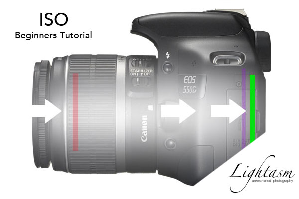 Cover Image for ISO - Part 3 of the Photography for Beginners Tutorial
