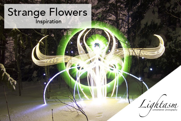 Cover Image for Growing Strange Flowers in the Dark with Light Painting