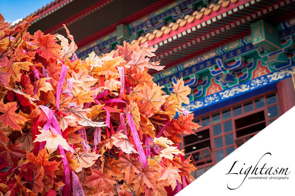 Cover Image for Visiting the Temple for Chinese New Year 2012 or the Year of the Dragon